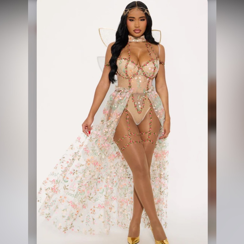 Fashion Nova Floral Sheer Dress - Multicolor